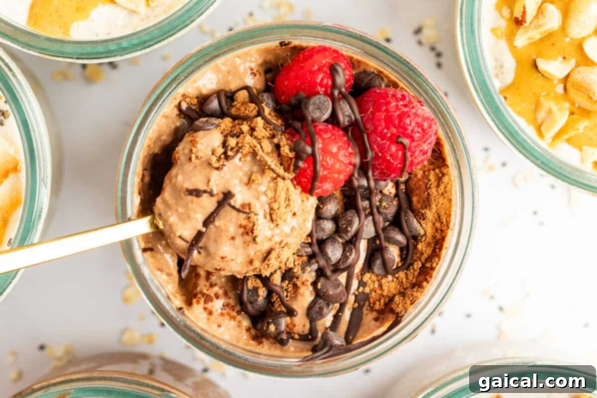 A glass bowl of chocolate oatmeal topped with raspberries, chocolate chips, and a dusting of cocoa powder. A spoon rests inside the bowl. Other oatmeal bowls are partially visible around it.