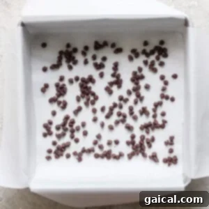A square baking pan lined with parchment paper, scattered with small chocolate chips, hints at the indulgent layers of a peanut butter banana ice box cake, placed on a light-colored surface.