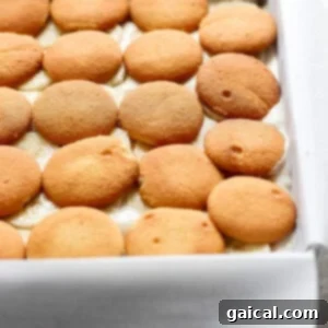 A baking dish filled with layers of vanilla wafer cookies, partially submerged in a creamy mixture, transforms into a delectable peanut butter banana ice box cake.
