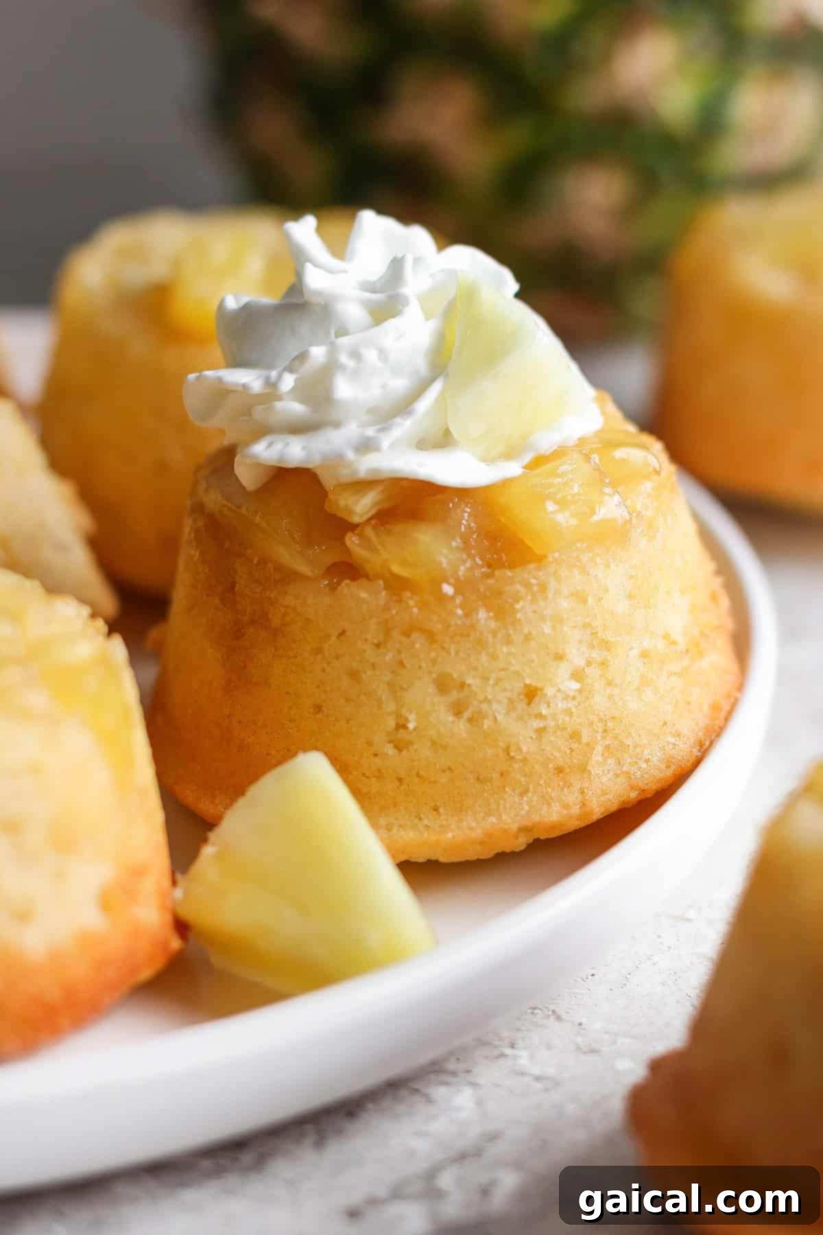 Golden Pineapple Flips 2 Individual pineapple upside-down cupcakes topped with whipped cream and pineapple chunks on a pristine white plate, ready to be enjoyed.