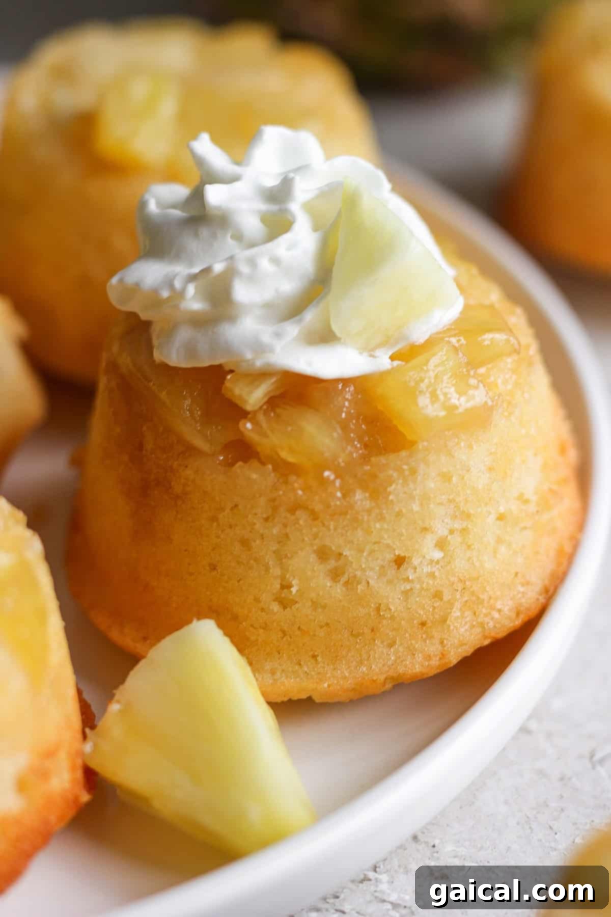 Golden Pineapple Flips 5 A close-up of a beautifully baked pineapple upside-down cupcake, perfectly formed and ready to be enjoyed, served on a white plate.
