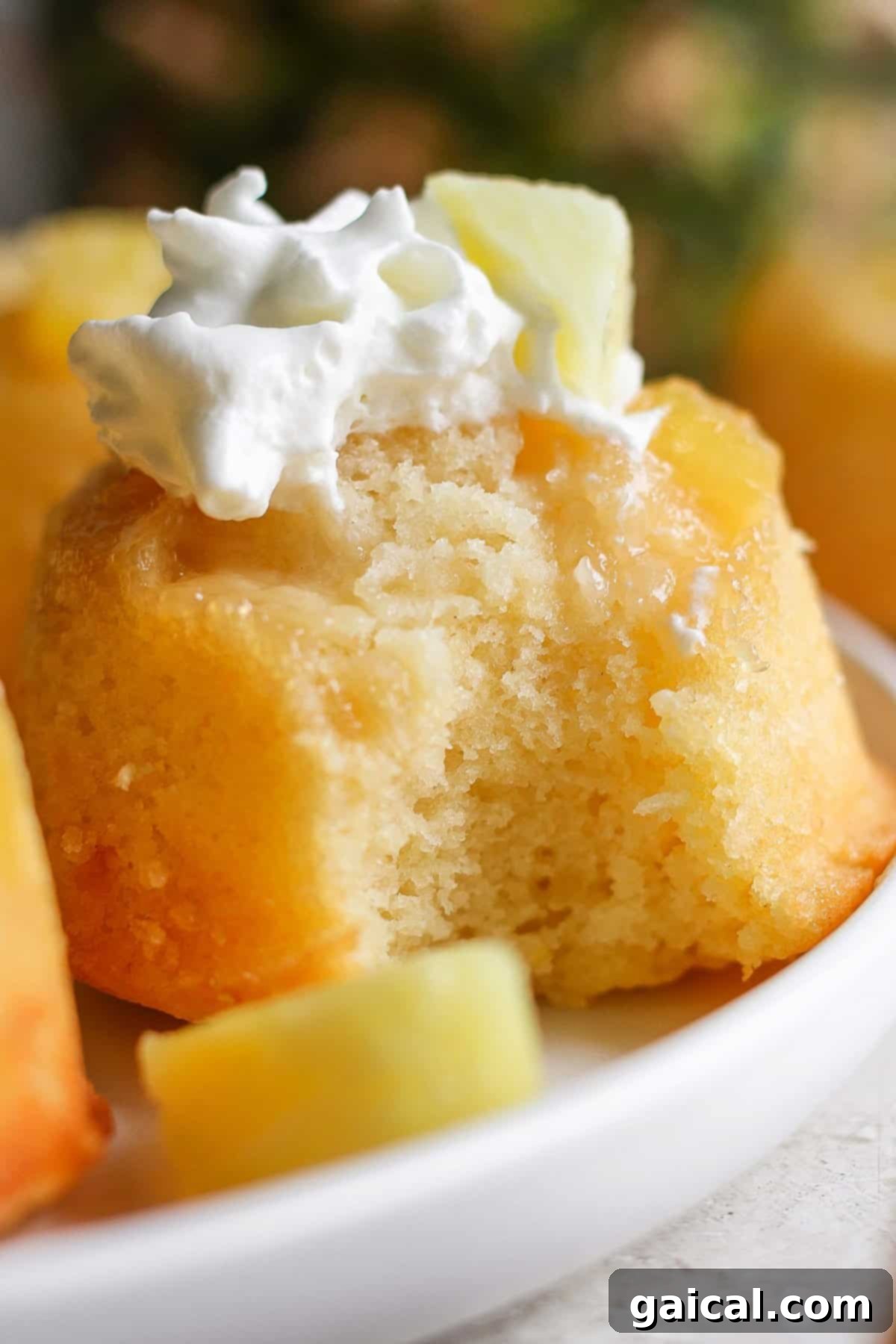 Golden Pineapple Flips 6 A close-up of a single pineapple upside-down cupcake with a dollop of fluffy whipped cream on top, presented elegantly on a white plate.