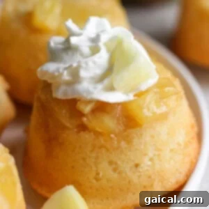 A close-up of a pineapple upside-down cupcake topped with whipped cream and a pineapple chunk.