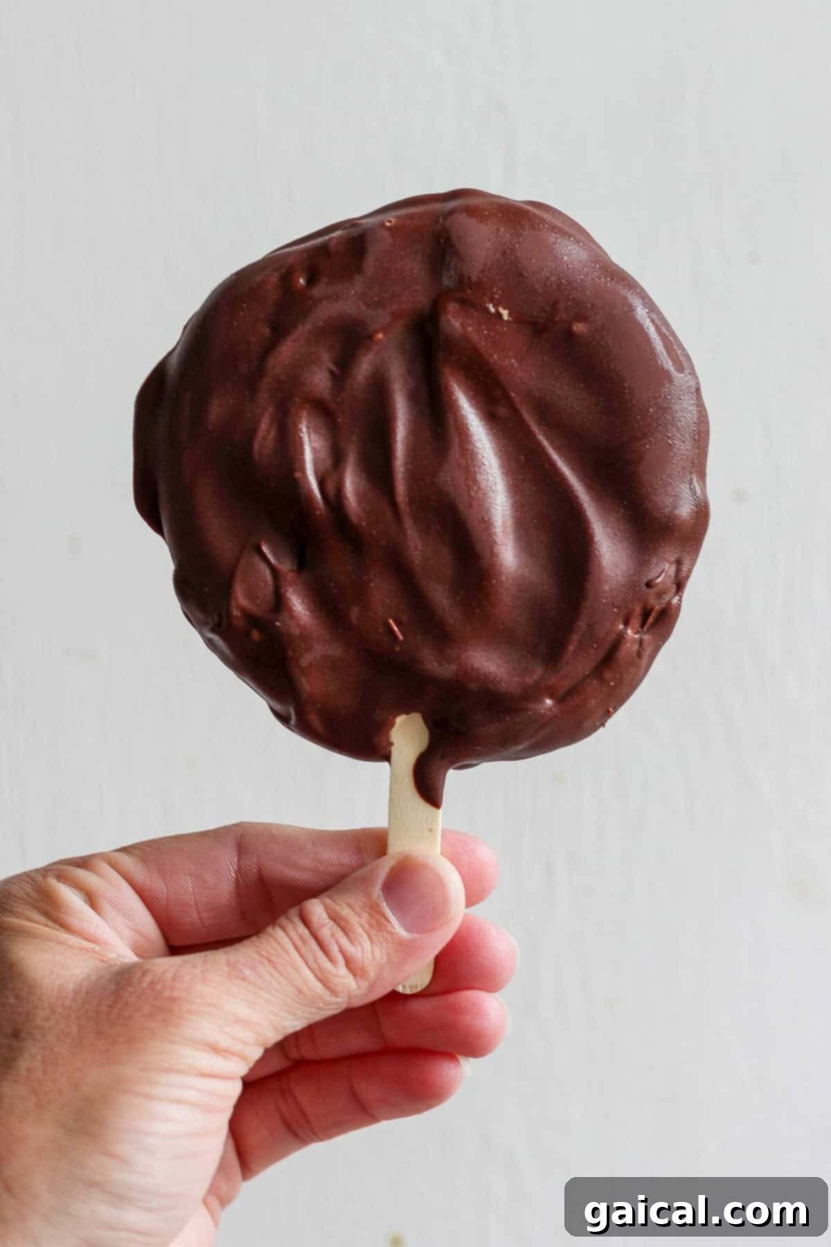 Homemade Dilly Delights 5 A hand holding a chocolate-covered ice cream on a stick against a plain background.
