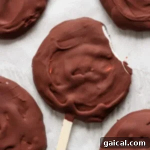Homemade Dilly Delights 6 Close-up of a chocolate-covered round ice cream treat on a stick with a bite taken out of the edge, resting on parchment paper along with other similar treats.