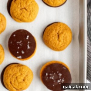 A baking tray with parchment paper holds nine round orange cookies, some plain and some half-dipped in chocolate, with a few sprinkled with sea salt.
