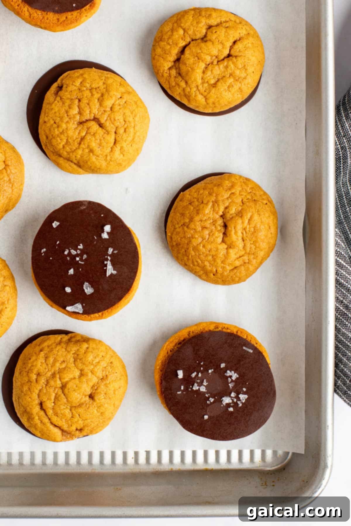 A baking tray with parchment paper holds nine round orange pumpkin cookies, some plain and some half-dipped in chocolate and sprinkled with coarse sea salt.