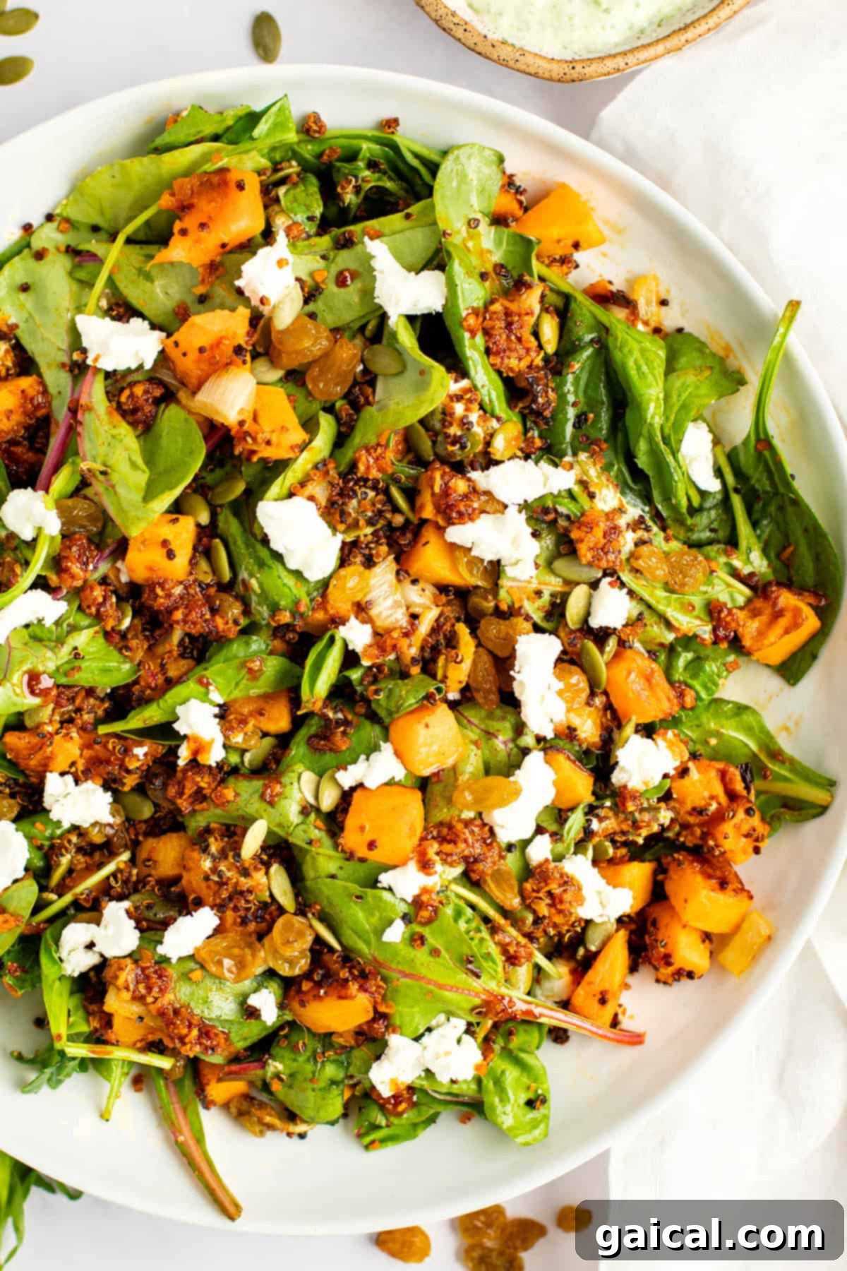 A plate of salad with mixed greens, roasted butternut squash, crumbled feta cheese, crispy quinoa, pumpkin seeds, and golden raisins, showcasing its inviting presentation.