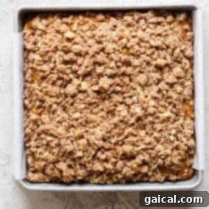 A square metal baking pan filled with a baked oatmeal fruit crumble topped with a crispy, golden-brown oat and cinnamon streusel. The pan is lined with parchment paper.