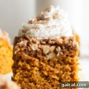 A slice of pumpkin coffee cake topped with whipped cream and a sprinkle of cinnamon on a white surface.