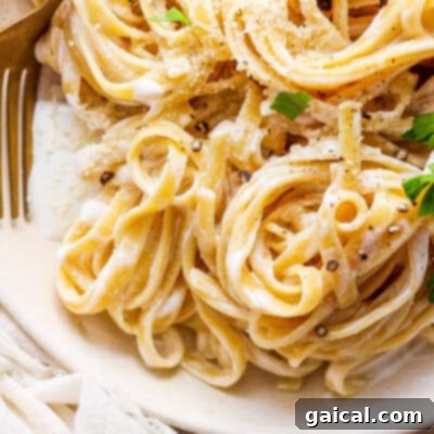A plate of pasta with parmesan cheese and parsley.