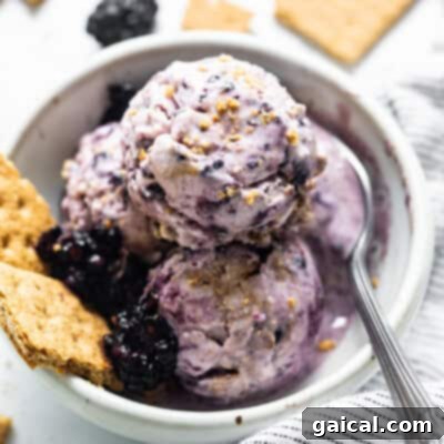 Blackberry ice cream in bowl.