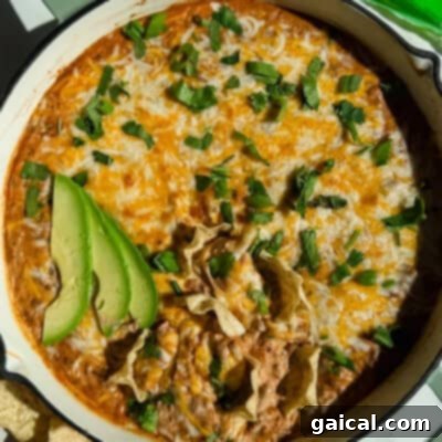 A baked dish topped with melted cheese, garnished with sliced avocado and fresh herbs, next to tortilla chips.