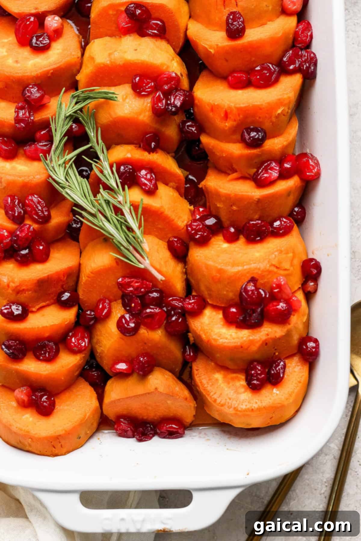Golden Harvest Maple Cranberry Sweet Potatoes 2 A white casserole dish filled with neatly arranged sliced sweet potatoes, topped with cranberries and garnished with a sprig of rosemary.
