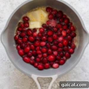 A gray pot contains raw cranberries, a block of butter, and sugar on a light textured surface.