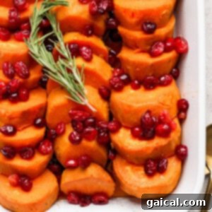 A white casserole dish filled with neatly arranged sliced sweet potatoes, topped with cranberries and garnished with a sprig of rosemary.