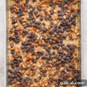 A glistening silver baking pan filled with a freshly baked crust, now generously topped with an even layer of melted chocolate chips and finely chopped nuts, awaiting the next step in the dessert making process.