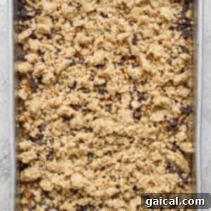 A rectangular baking tray meticulously filled with an unbaked dessert mixture, elegantly crowned with a distinctive crumbly oat and nut topping, positioned on a gently textured light-colored surface, ready for the oven.