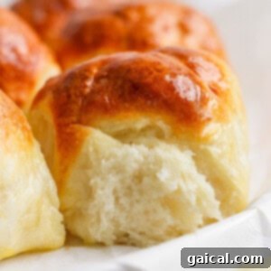 Close-up of freshly baked, golden-brown dinner rolls with a soft, fluffy interior.