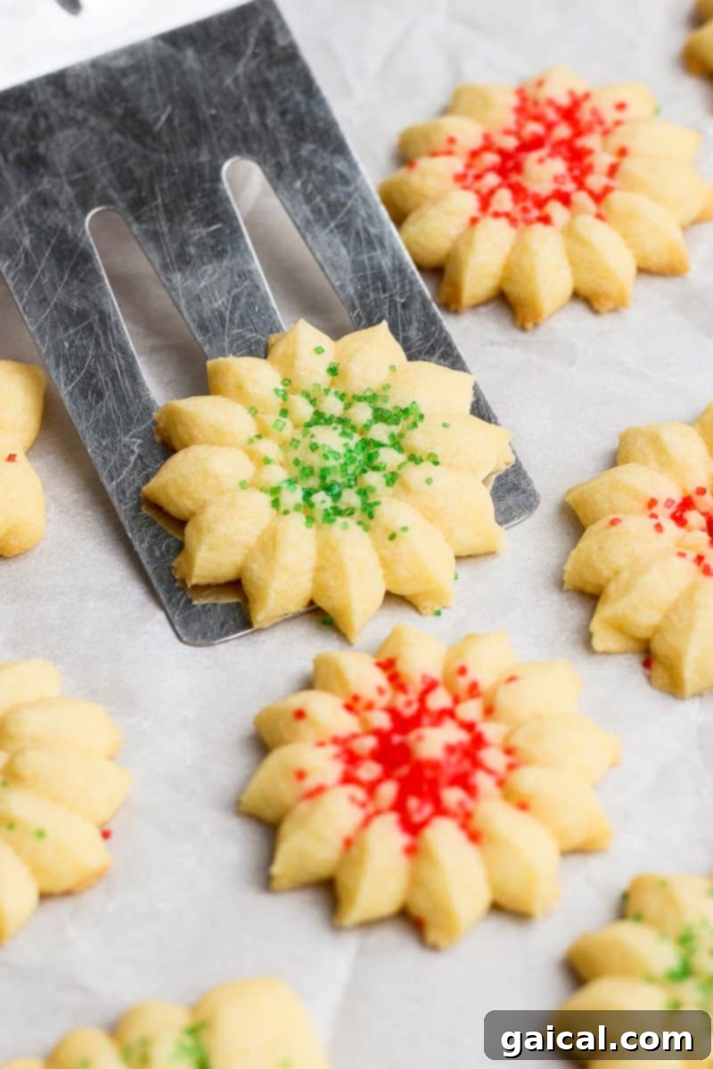 Mabel's Signature Spritz Cookies 6 Freshly baked butter cookies, beautifully decorated with red and green sprinkles, arranged on a baking sheet, with a spatula lifting one for a closer look.