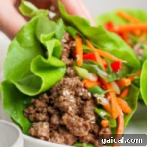 A hand holding a lettuce wrap filled with ground meat, shredded carrots, and herbs on a white plate.