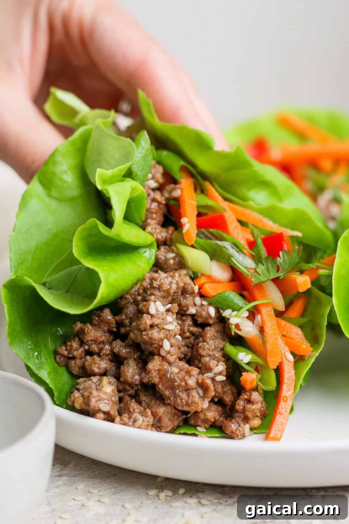 A hand delicately holds a vibrant Korean beef lettuce wrap, brimming with savory ground meat, fresh shredded carrots, and aromatic herbs, presented against a clean white plate.