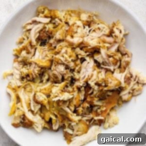 A white bowl filled with shredded, seasoned chicken on a textured surface.