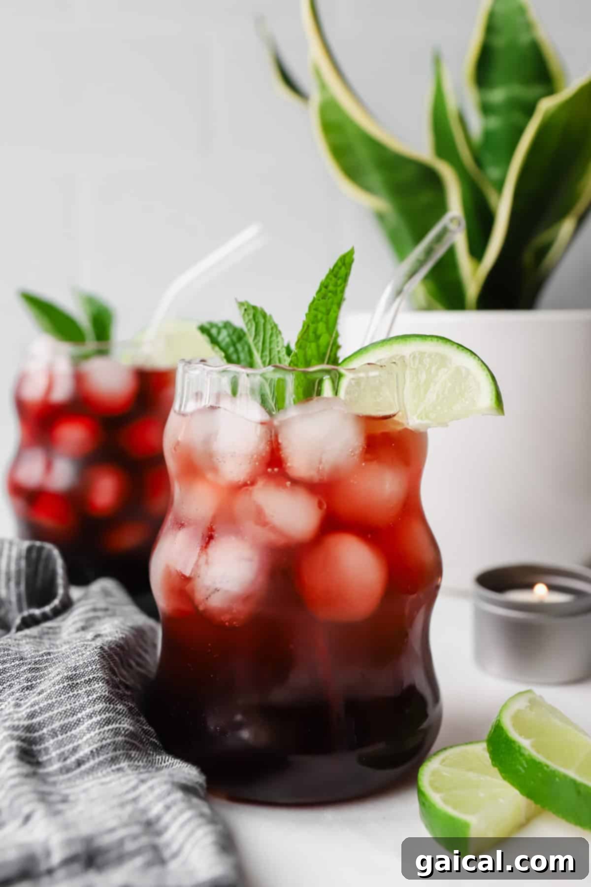 Nighttime Nectar 2 Two glasses of iced tea garnished with lime wedges and mint leaves. A potted plant and sliced limes are in the background.
