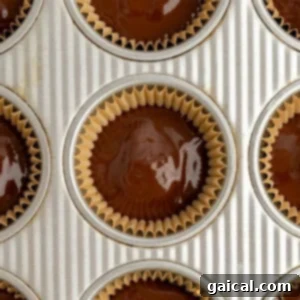 A muffin tin filled with cupcake liners containing chocolate batter, chilling in the freezer to set.