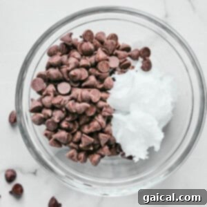 A glass bowl filled with chocolate chips and a dollop of coconut oil on a marble surface.