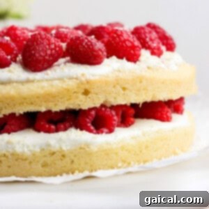 Layered Coconut Bliss with Fresh Raspberries 10 A beautifully assembled two-layer coconut cake with white frosting and fresh raspberries in between and on top, presented on an elegant cake stand.