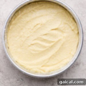 Layered Coconut Bliss with Fresh Raspberries 8 Smooth cake batter spread evenly in a round, silver baking pan, ready to go into the oven on a light-colored surface.