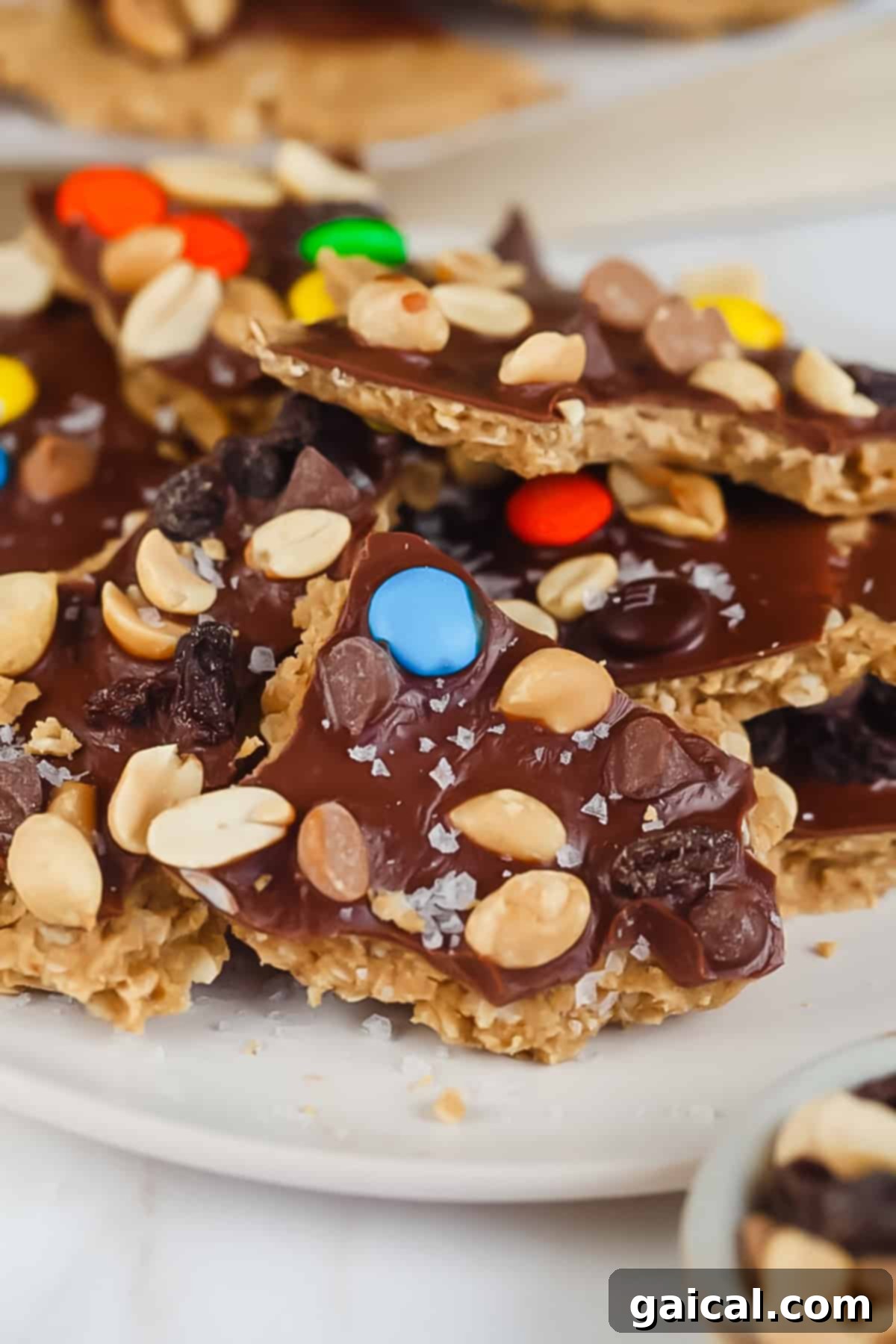 Protein Packed Cookie Dough Bark 2 Pieces of chocolate-covered protein cookie dough bark on a plate, topped with peanuts, colorful candy-coated chocolates, and small chocolate chunks.