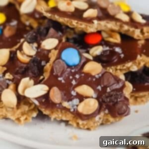 Protein Packed Cookie Dough Bark 4 Pieces of chocolate bark topped with peanuts, colorful candies, raisins, and sea salt on a white plate, ready to be served.