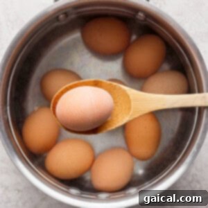 Eggs being placed into a pot of boiling water.