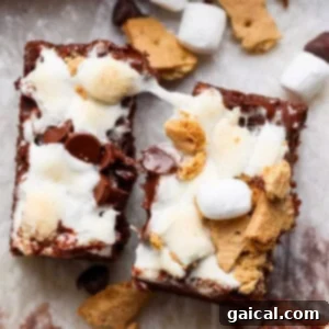 Two s'mores brownies topped with melted marshmallows, chocolate chips, and graham cracker pieces on a light background.