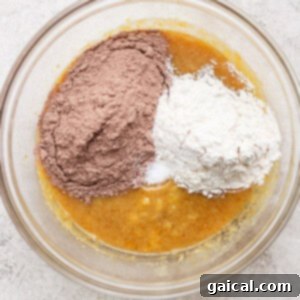 A glass bowl holds a mixture of wet ingredients, with piles of cocoa powder and flour on top, ready to be mixed for delicious s'mores brownies.