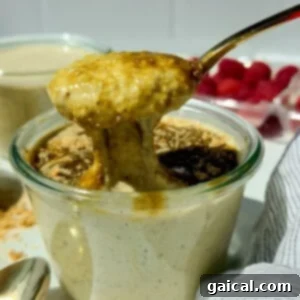 A spoon lifts thick, creamy pudding from a glass jar, with crumbs and a dark sauce on top; fresh raspberries are visible in the background, showcasing a delectable blended pistachio overnight oats serving.