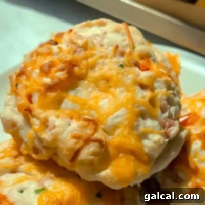 A mouth-watering close-up of golden, cheesy baked biscuits, topped with generously melted cheddar cheese, promising a savory and comforting bite. The biscuits are elegantly presented on a pristine white plate, inviting a delicious tasting experience.