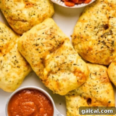 A delightful arrangement of golden-brown stuffed bread rolls, perfectly reminiscent of classic pizza hot pockets. Each roll is elegantly sprinkled with fresh herbs, hinting at their savory filling, and is thoughtfully paired with a small, inviting bowl of rich tomato dipping sauce, all presented on a pristine white surface.