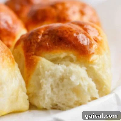A delectable close-up of freshly baked, golden-brown dinner rolls, boasting a soft, inviting crust and revealing their wonderfully fluffy interior, beckoning you to pull them apart and savor their warmth.