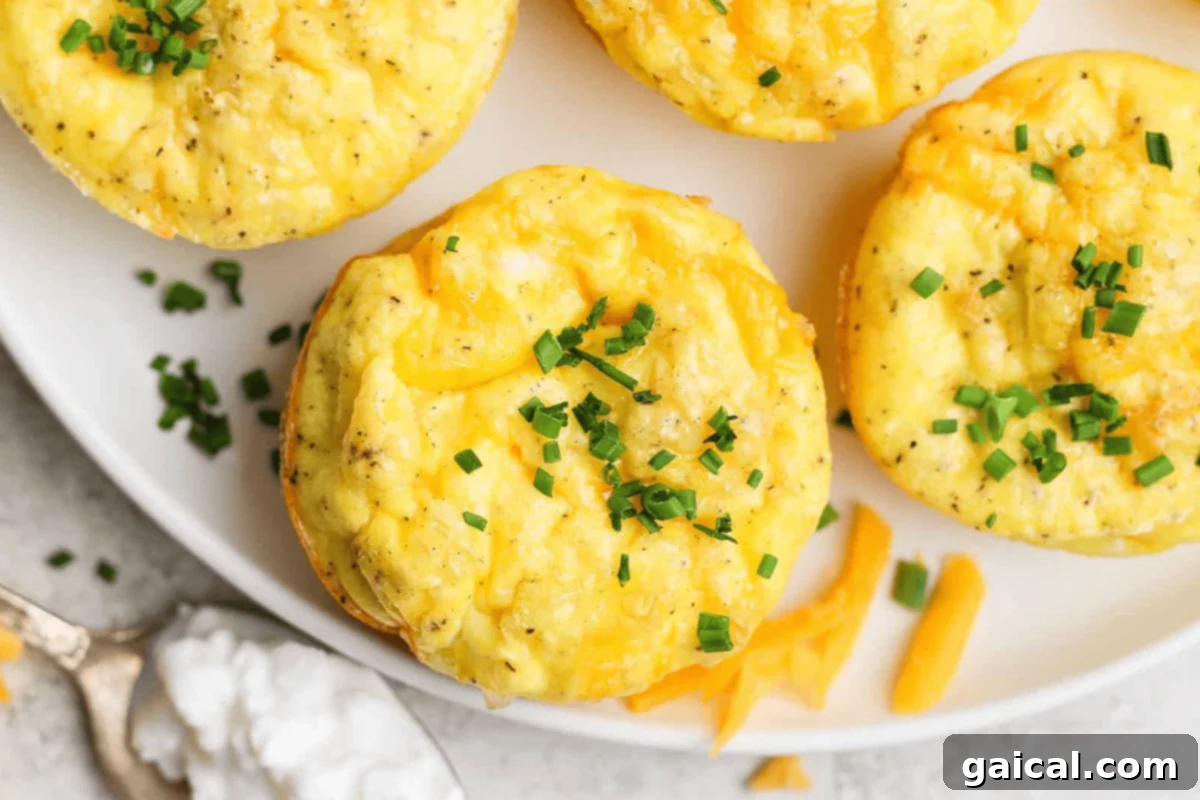 Three perfectly baked egg muffins, generously topped with vibrant chopped chives, arranged elegantly on a white plate. Nearby, a small bowl of shredded cheese and a spoonful of creamy cottage cheese complete the inviting display, highlighting a wholesome and appealing breakfast.