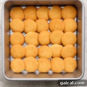 A square baking pan filled with a single layer of round vanilla wafer cookies arranged in a grid pattern.