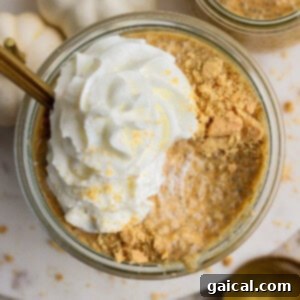 Glass jar filled with pumpkin chia pudding, topped with whipped cream and crushed graham crackers, with a gold spoon and white decorative pumpkins nearby.