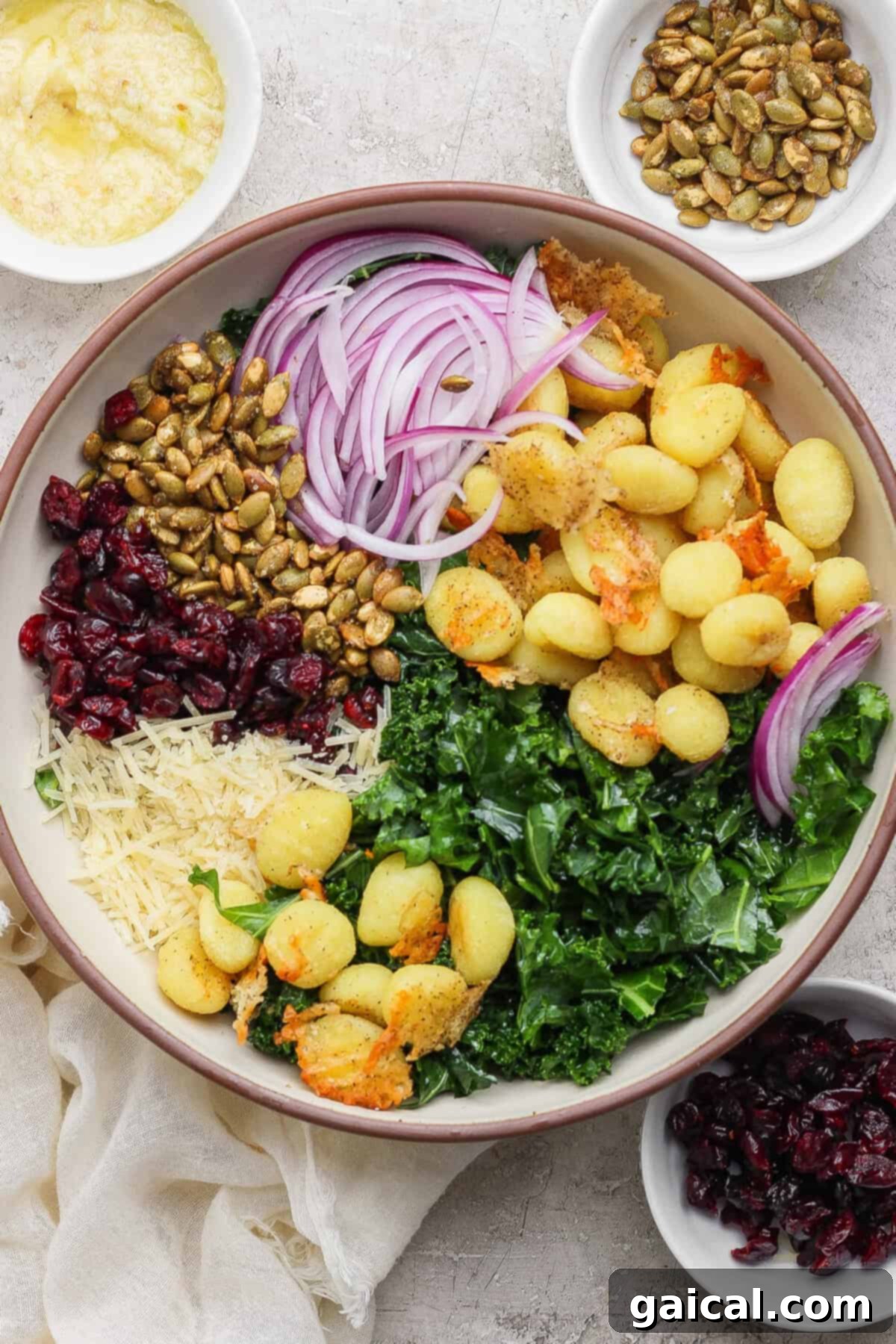Roasted Gnocchi Kale Power Bowl with Garlic Parmesan 2 A vibrant bowl of crispy gnocchi salad featuring golden gnocchi, fresh kale, sliced red onions, grated cheese, dried cranberries, and roasted pepitas. Small bowls of dressing, pepitas, and cranberries are arranged alongside.