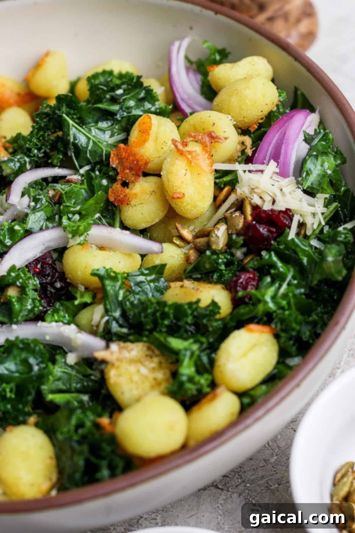 Roasted Gnocchi Kale Power Bowl with Garlic Parmesan 4 A beautifully presented bowl of kale salad, adorned with perfectly cooked gnocchi, thinly sliced red onion, a sprinkle of grated cheese, sweet dried cranberries, and crunchy seeds.