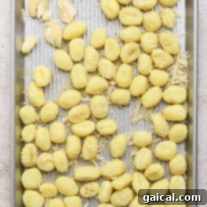 A metal baking tray with uncooked gnocchi, shredded cheese, and garlic cloves arranged on a light, textured surface, ready for roasting.