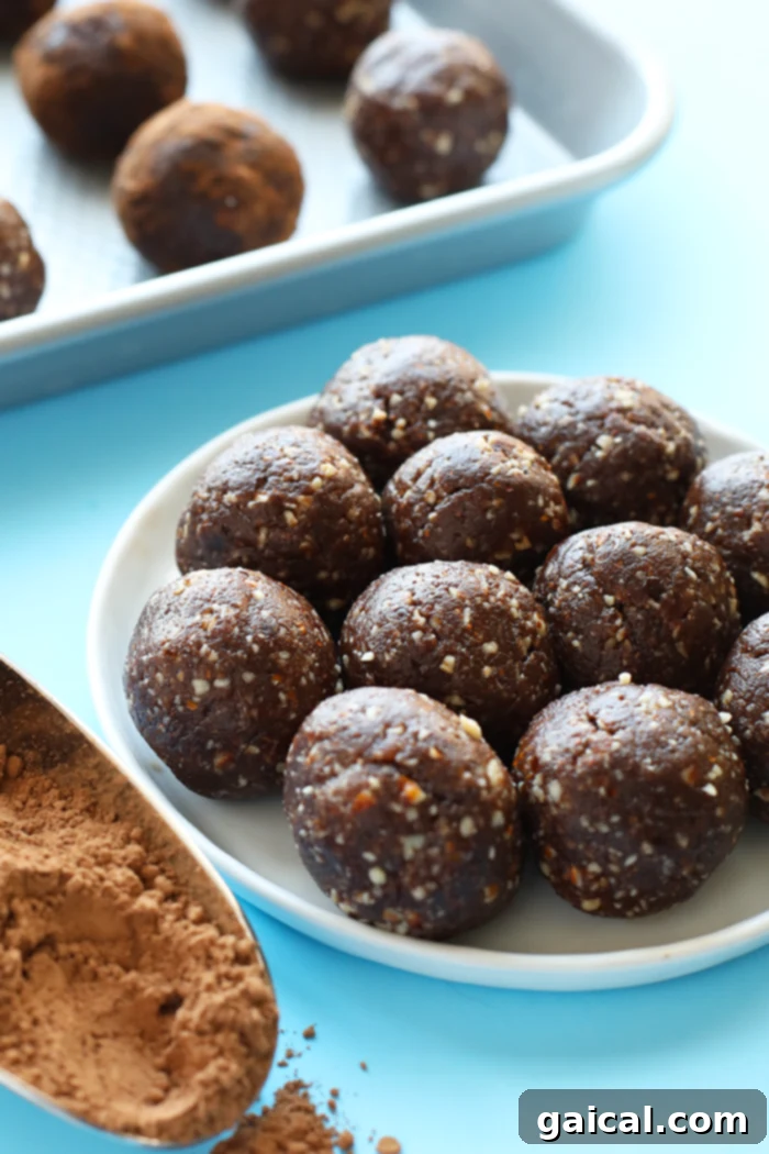 Peanut Butter Brownie Energy Bites 2 These healthy peanut butter brownie balls are the energy ball of all energy balls. They're packed with protein and fiber and pretty much taste like dessert!