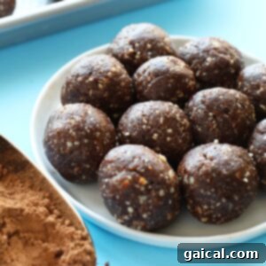 Peanut butter chocolate energy balls on a plate.