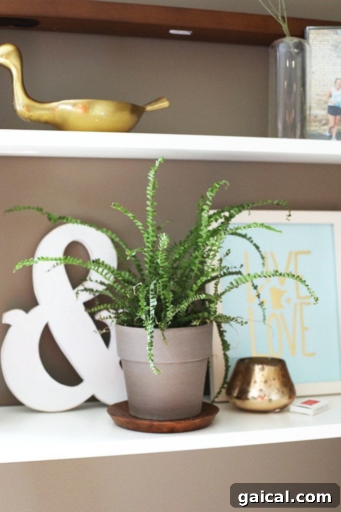 DaFunkShow's Creative Den 4 Close-up of the stylish West Elm chair at the ladder desk, adorned with lush green plants, creating an inviting workspace.